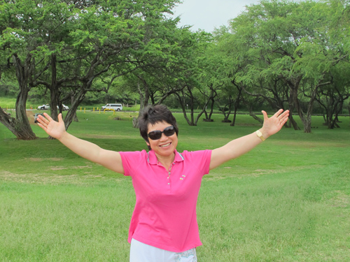 �T���L��